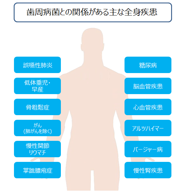 歯周病と全身疾患